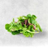 Asia Salat Bund   Urspr. DE