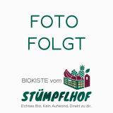 Bier Emmer 20x0,5l