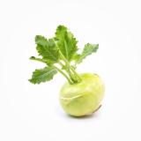 Kohlrabi
