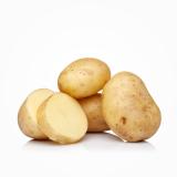 Kartoffel 5 kg mehlig