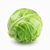 Weißkraut