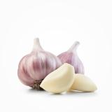 Knoblauch