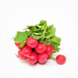 Radieschen