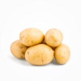 Kartoffel 5 kg festkochend