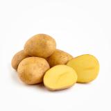 Kartoffel vorwiegend festk. 5 kg
