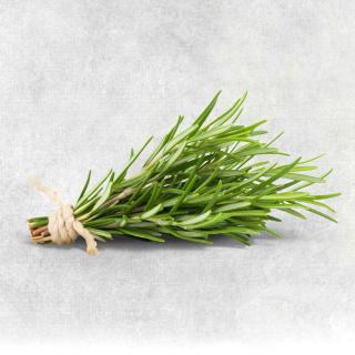 Rosmarin Bund