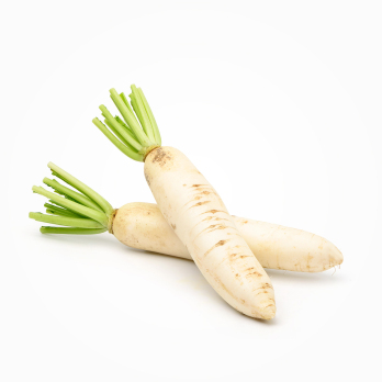 Rettich weiß