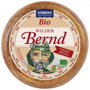 Wilder Bernd Münsterländer
