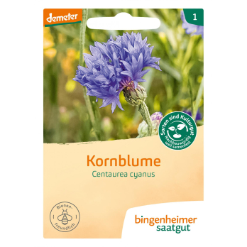 Saatgut Kornblume