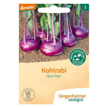 Saatgut Kohlrabi Azur Star