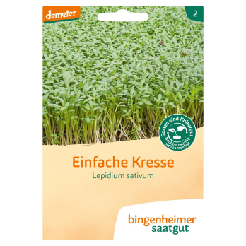Saatgut Einfache Kresse