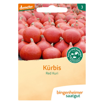 Saatgut Hokkaido-Kürbis Red Kuri
