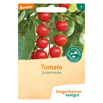 Saatgut Tomate Zuckertraube