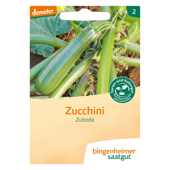 Saatgut Zucchini Zuboda