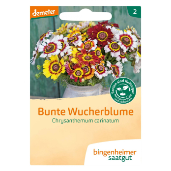 Saatgut Bunte Wucherblume