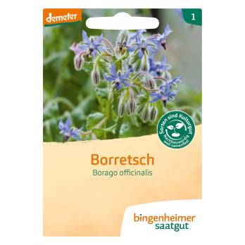 Saatgut Borretsch