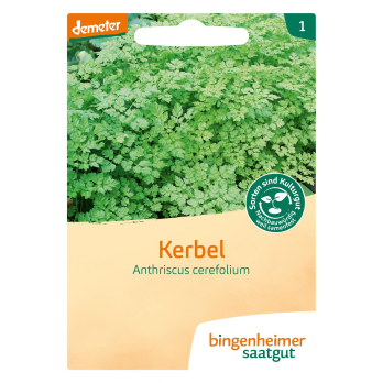 Saatgut Kerbel