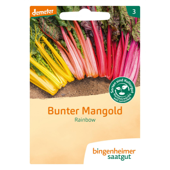 Saatgut Mangold Rainbow
