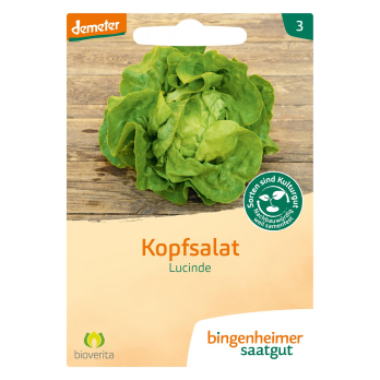 Saatgut Kopfsalat