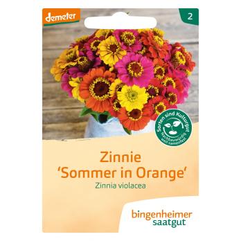 Saatgut Zinnie