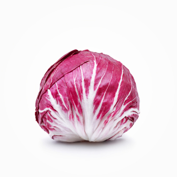 Radicchio