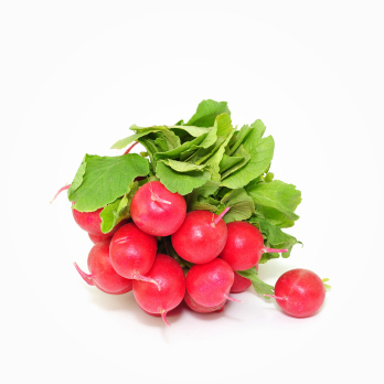 Radieschen