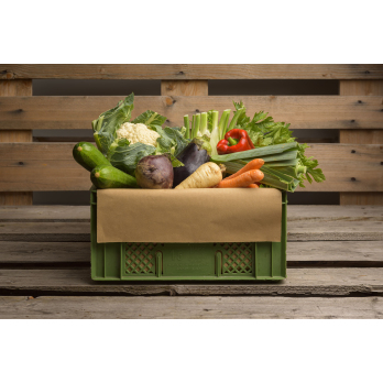 Gemüse Kiste M