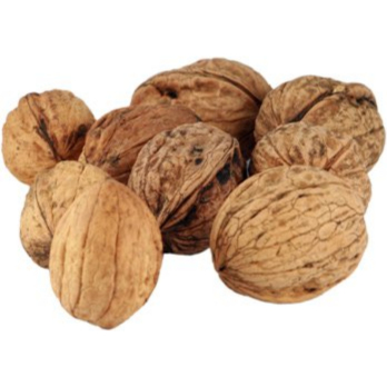 Walnüsse Ursprung F