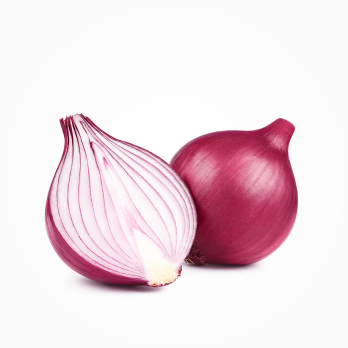 Zwiebel rot