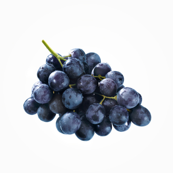 Trauben blau