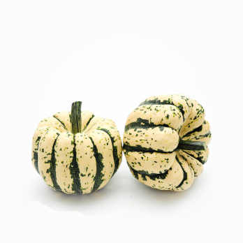 Kürbis Sweet Dumpling