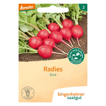 Saatgut Radieschen Sora