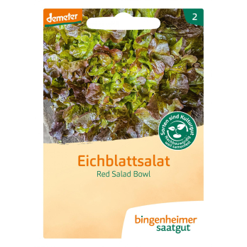 Saatgut Eichblattsalat Red Bowl Salad