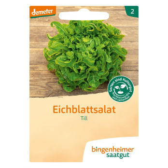 Saatgut Eichblattsalat Till