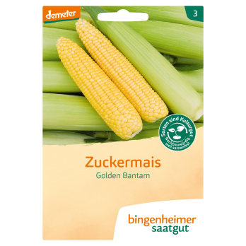 Saatgut Mais Golden Bantam