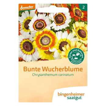 Saatgut Bunte Wucherblume