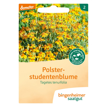 Saatgut Polsterstudentenblume