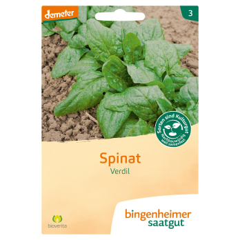 Saatgut Spinat Verdil