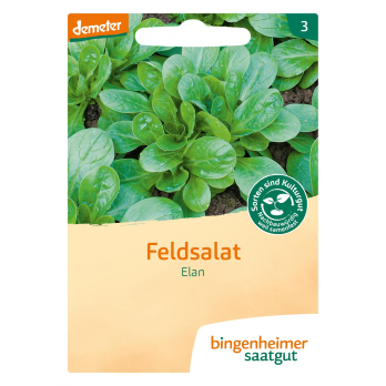 Saatgut Feldsalat